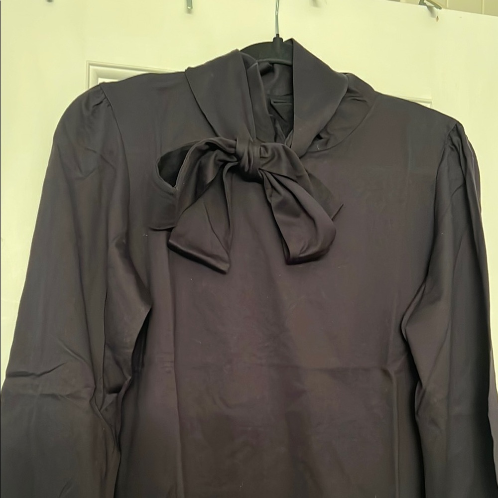 Carolina Herrera Brand New Blouse